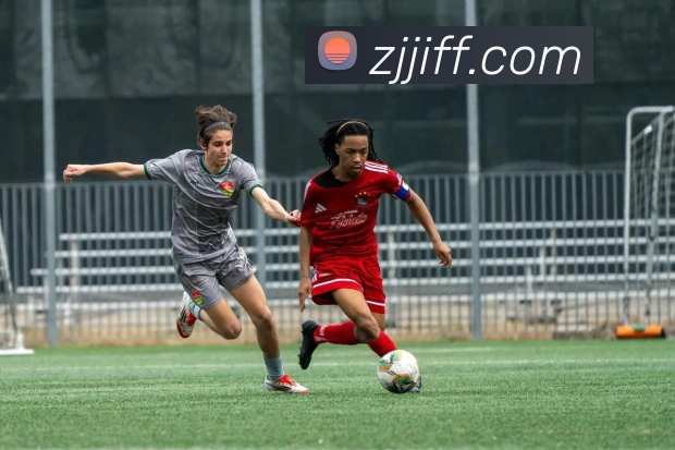 雅博app品牌故事