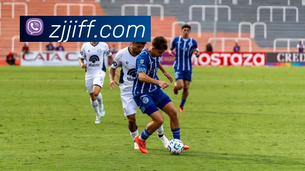 雅博app服务体系