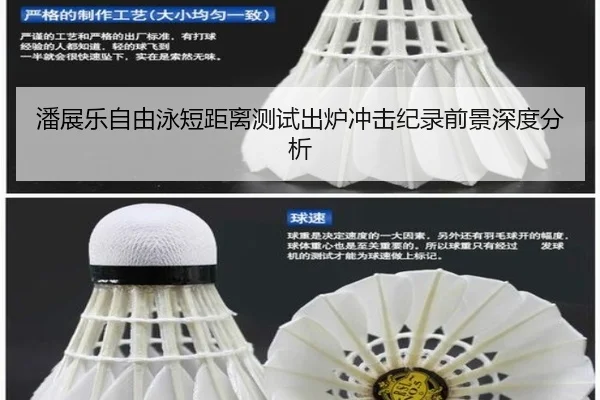 潘展乐自由泳短距离测试出炉冲击纪录前景深度分析