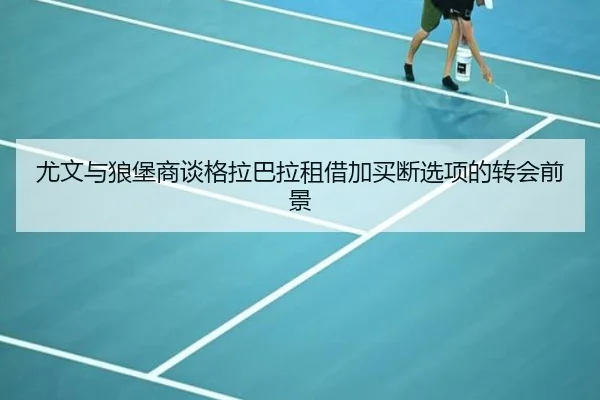 尤文与狼堡商谈格拉巴拉租借加买断选项的转会前景